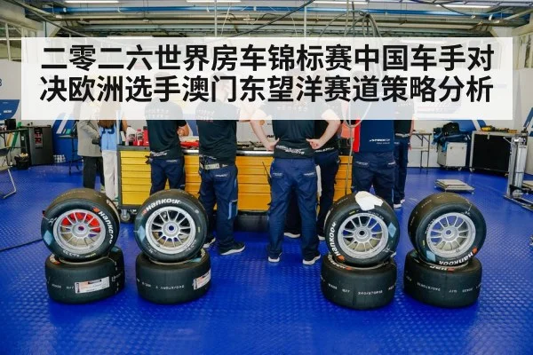 touring car pit stop crew tires
